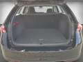 Skoda Octavia Combi 1.5 TSI LED DAB Sitzh CarPlay Facelift Schwarz - thumbnail 14