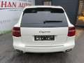 Porsche Cayenne 3,0 Diesel Tiptronic *Xenon*Leder* Blanc - thumbnail 6