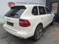 Porsche Cayenne 3,0 Diesel Tiptronic *Xenon*Leder* Blanc - thumbnail 5