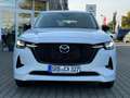 Mazda CX-60 PHEV AWD Homura HUD ACC Matrix BOSE DAB+ Blanc - thumbnail 8