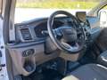 Ford Tourneo Custom 300 2.0 EcoBlue 130CV PL Trend Bianco - thumbnail 2