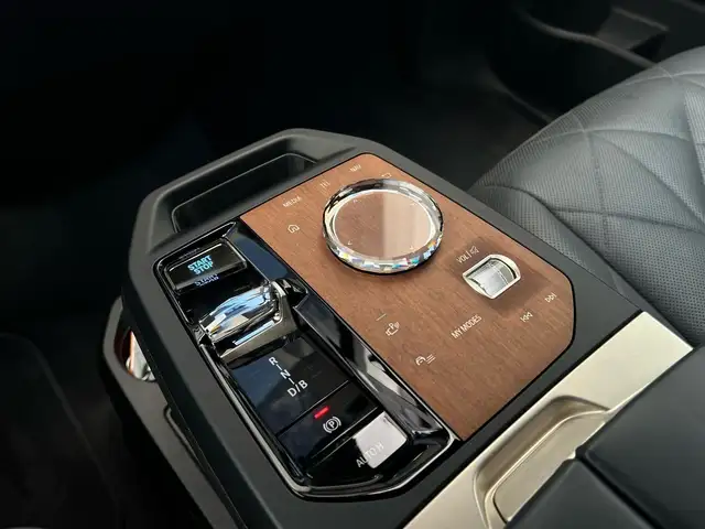 BMW Ix view 9