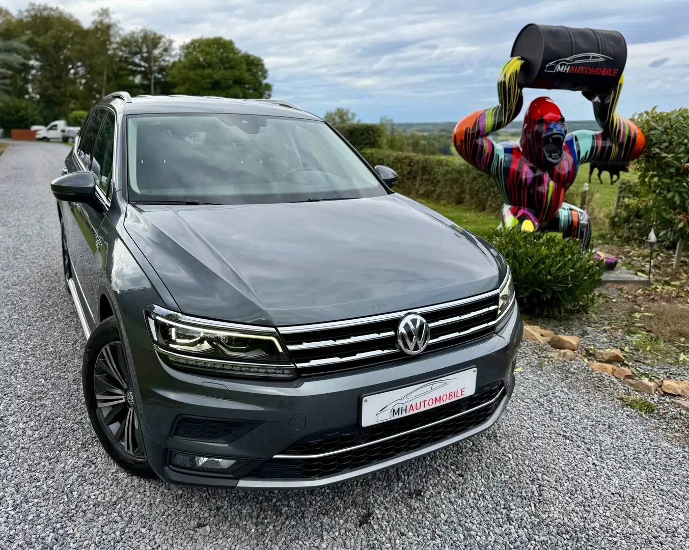 Volkswagen Tiguan Allspace 7 Places 2.0 TDi 4Motion DSG Grau - 2