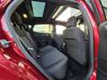 Ford Fiesta 1.0 EcoBoost ST-Line PANORAMADAK|NAVIGATIE|CRUISE Rouge - thumbnail 13