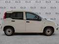 Fiat New Panda VAN 1.3 mjt 16v Easy s&s Blanc - thumbnail 7