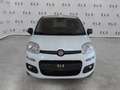 Fiat New Panda VAN 1.3 mjt 16v Easy s&s Blanc - thumbnail 9
