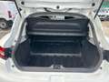 Renault Clio Clio 1.5 dci 75cv VAN*AUTOCARRO 2 POSTI* Bianco - thumbnail 11