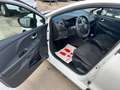 Renault Clio Clio 1.5 dci 75cv VAN*AUTOCARRO 2 POSTI* Bianco - thumbnail 8