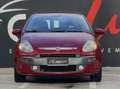 Fiat Punto Evo 5p 1.2 Active S 70CV Roşu - thumbnail 14