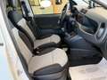 Fiat Panda New 1.3 M.JET 80 cv. EASY Bianco - thumbnail 14