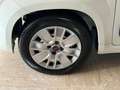 Fiat Panda New 1.3 M.JET 80 cv. EASY Bianco - thumbnail 5