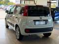 Fiat Panda New 1.3 M.JET 80 cv. EASY Bianco - thumbnail 4