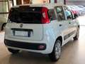 Fiat Panda New 1.3 M.JET 80 cv. EASY Bianco - thumbnail 3