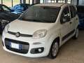 Fiat Panda New 1.3 M.JET 80 cv. EASY Bianco - thumbnail 2