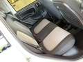 Fiat Panda New 1.3 M.JET 80 cv. EASY Bianco - thumbnail 12