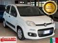 Fiat Panda New 1.3 M.JET 80 cv. EASY Bianco - thumbnail 1