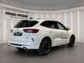 Ford Kuga ST-Line 5-Türer 2.5 l Duratec PHEV Weiß - thumbnail 18