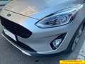 Ford Fiesta Active 1.0 ecoboost s&s 85cv my19 Gris - thumbnail 35