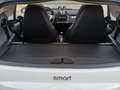 smart forTwo Fortwo 1.0 mhd Passion 71cv FL Blanc - thumbnail 16