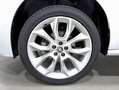 Skoda Kamiq 1.0 TSI Scout 85kW Blanco - thumbnail 8