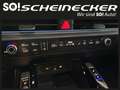 Kia Sorento 2,2 CRDi SCR AWD Platin DCT (7-Sitzer) Schwarz - thumbnail 37
