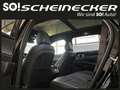 Kia Sorento 2,2 CRDi SCR AWD Platin DCT (7-Sitzer) Schwarz - thumbnail 14