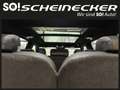 Kia Sorento 2,2 CRDi SCR AWD Platin DCT (7-Sitzer) Schwarz - thumbnail 12