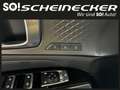 Kia Sorento 2,2 CRDi SCR AWD Platin DCT (7-Sitzer) Schwarz - thumbnail 28