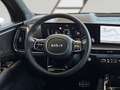 Kia Sorento 2,2 CRDi SCR AWD Platin DCT (7-Sitzer) Schwarz - thumbnail 12