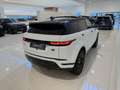 Land Rover Range Rover Evoque 1.5 P300e AWD S Exterior Black Pack | 20 inch Glos Weiß - thumbnail 5