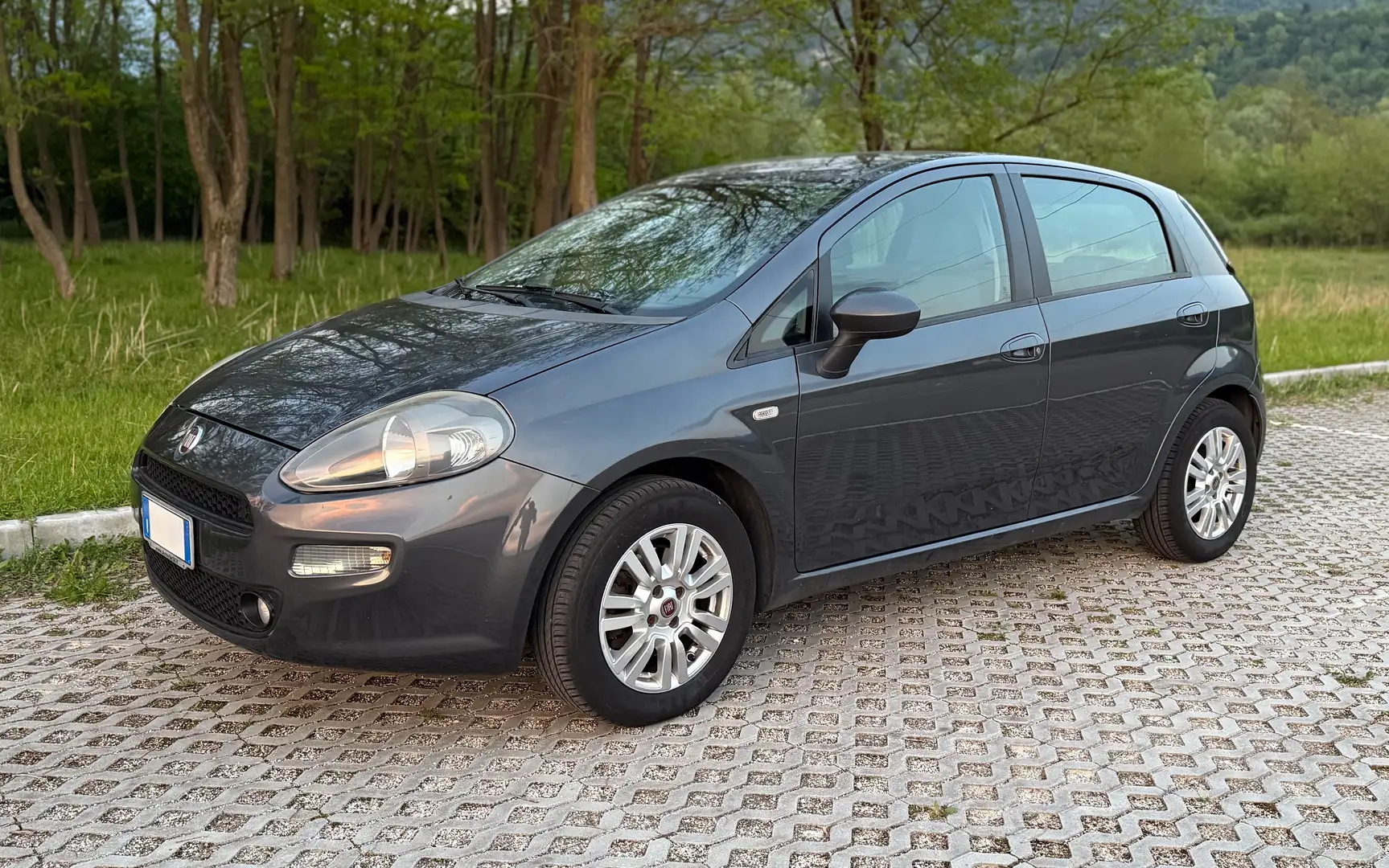 Fiat Punto 1.3 Multijet 95cv Start&Stop Grigio - 2