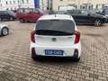 Kia Picanto Dream Team Weiß - thumbnail 5