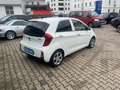 Kia Picanto Dream Team Weiß - thumbnail 4
