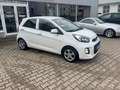 Kia Picanto Dream Team Weiß - thumbnail 3