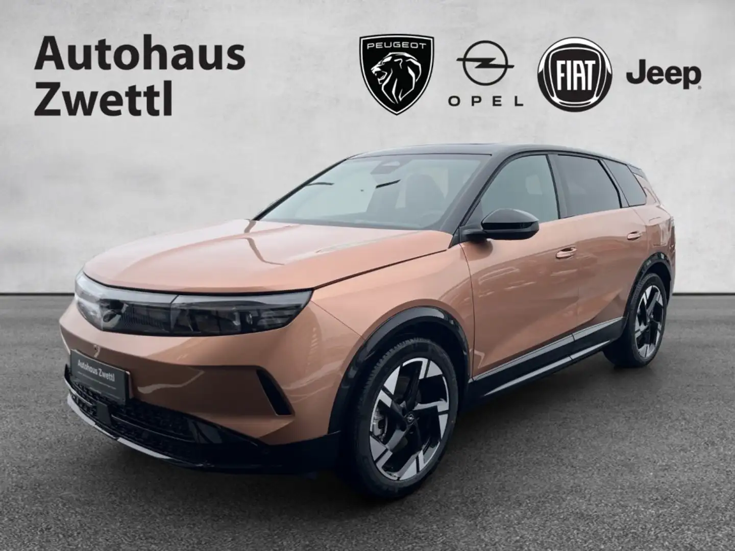 Opel Grandland GS Elektro 213 73kWh DCS6 Brązowy - 1