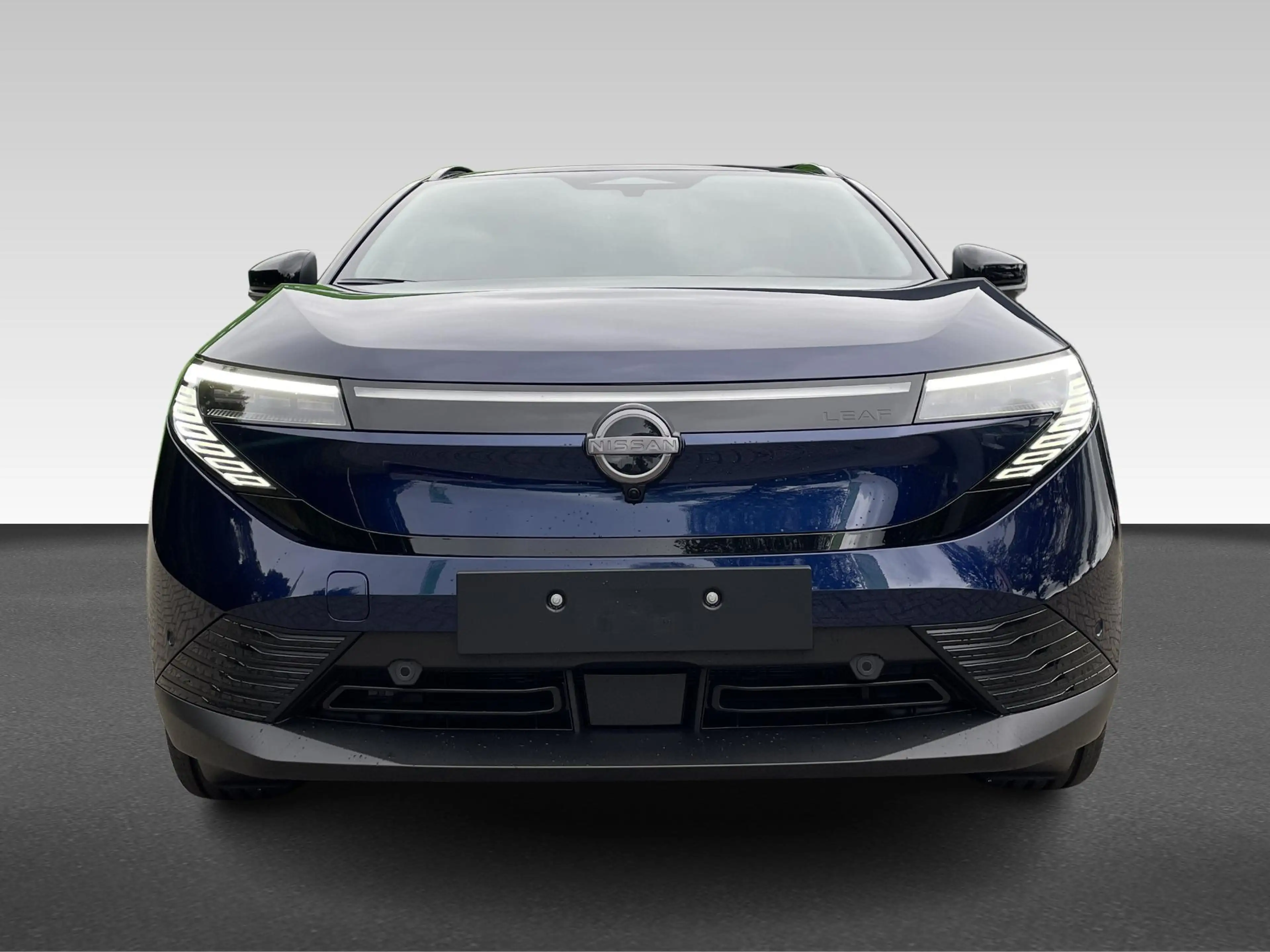 Nissan Leaf 75 kWh EVOLVE A/T — photo 2