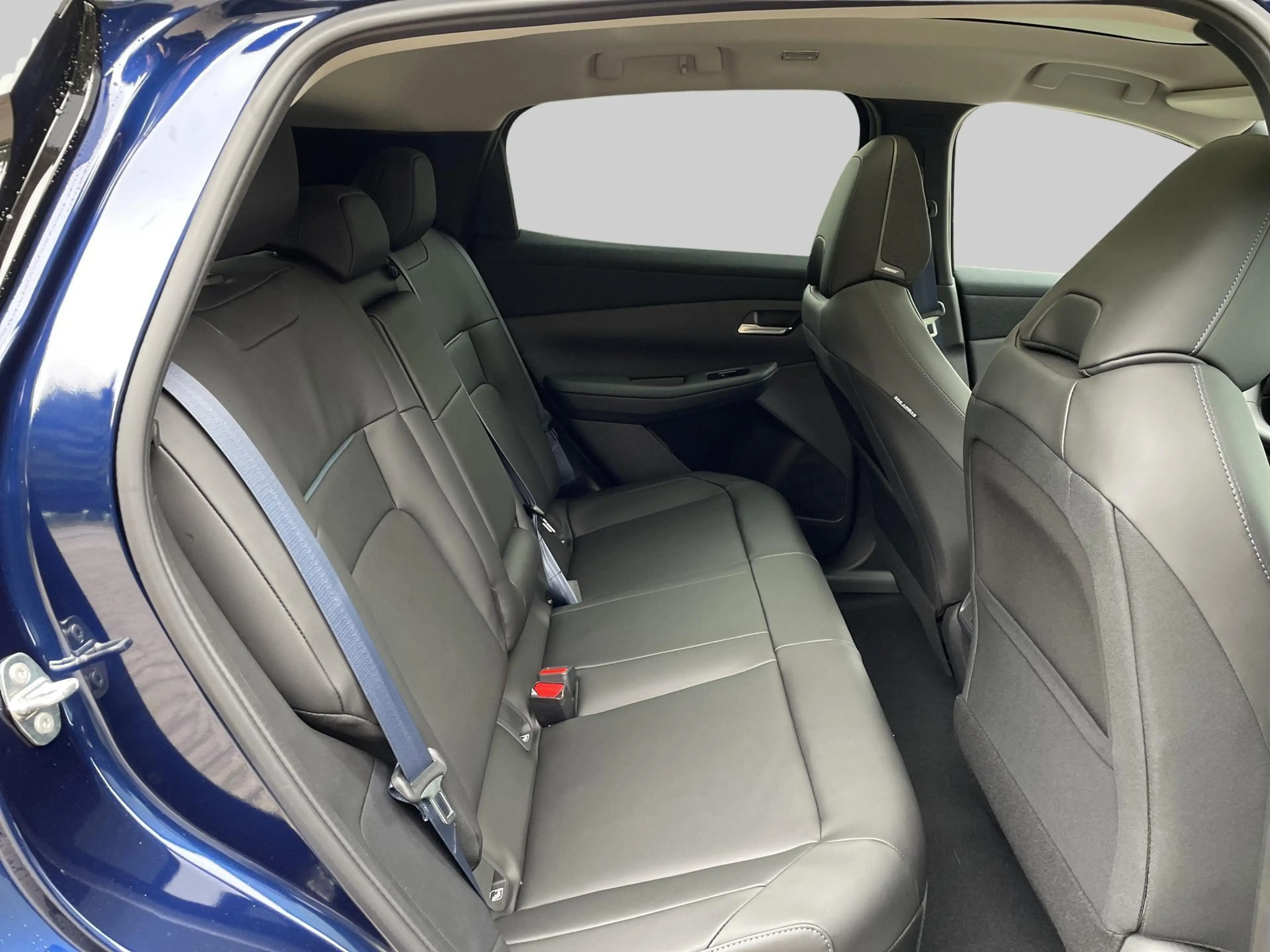 Nissan Leaf 75 kWh EVOLVE A/T — photo 11