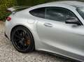 Mercedes-Benz AMG GT AMG GT R - 1 Owner - VAT Incl. - Ceramic Brake Plateado - thumbnail 20