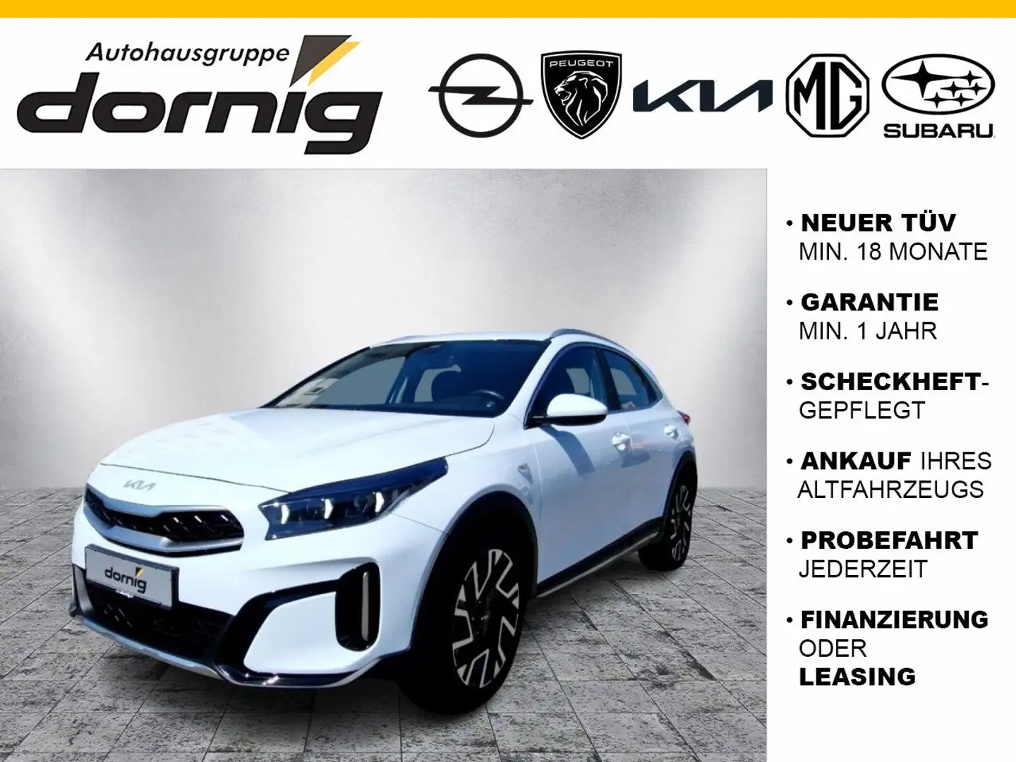 Kia XCeed 1.6 CRDi 48V Vision Weiß - 1