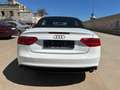 Audi A5 Cabrio 3.0TDI Multitronic Bianco - thumbnail 6