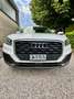 Audi Q2 30 1.6 tdi NEOPATENTATI - thumbnail 3