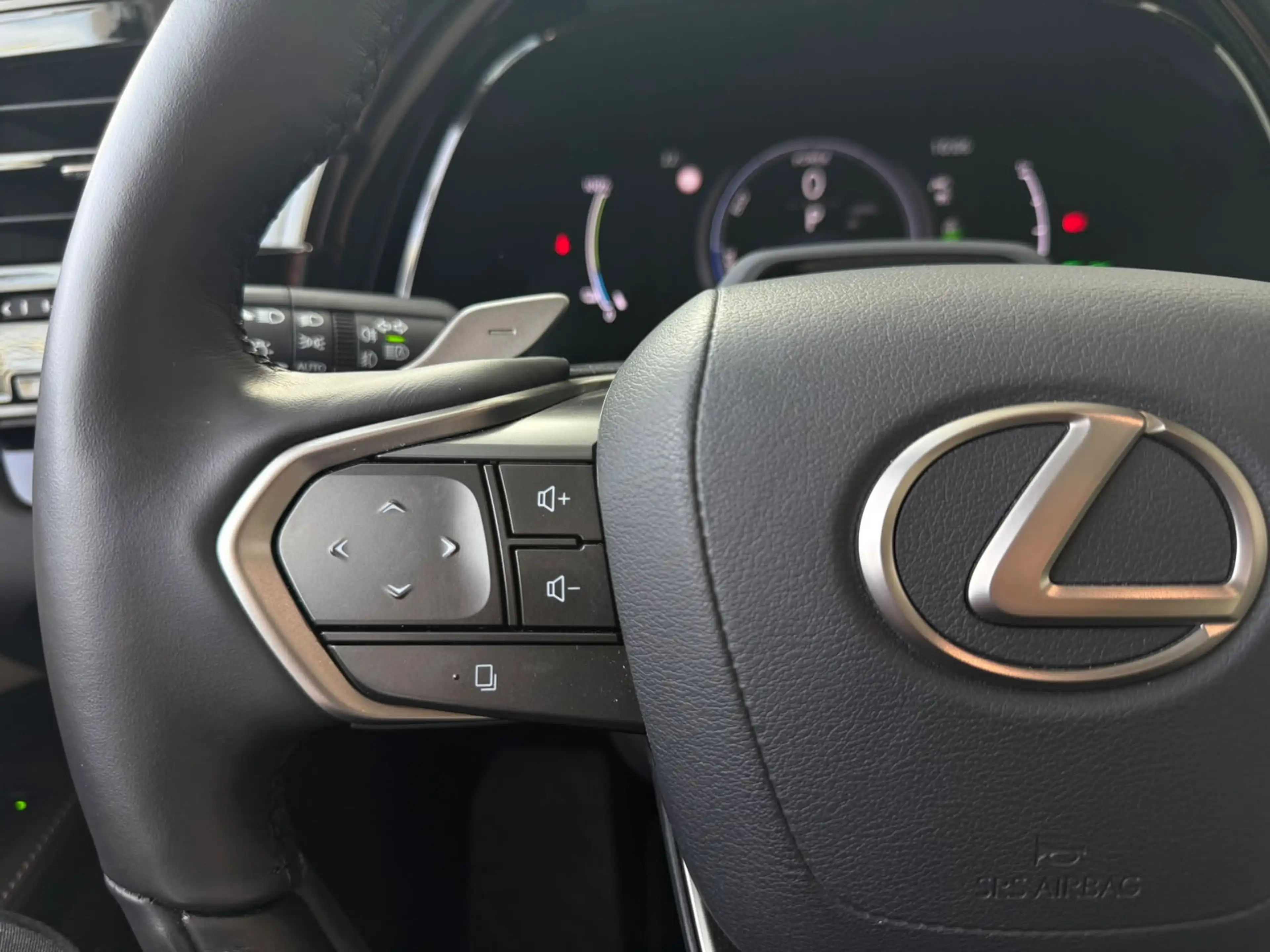 Lexus RX 450h 450h+ Plug-in Hybrid President Line | Mark-Levinso — photo 10