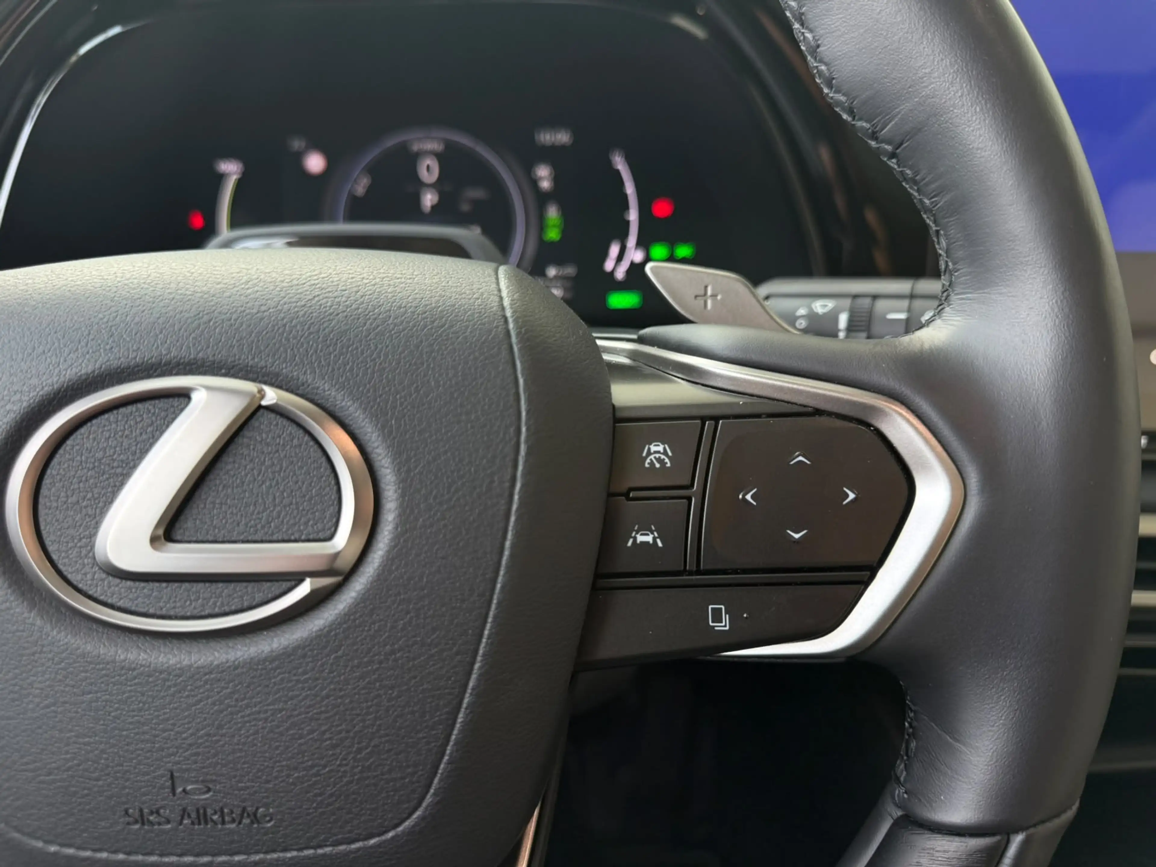 Lexus RX 450h 450h+ Plug-in Hybrid President Line | Mark-Levinso — photo 11