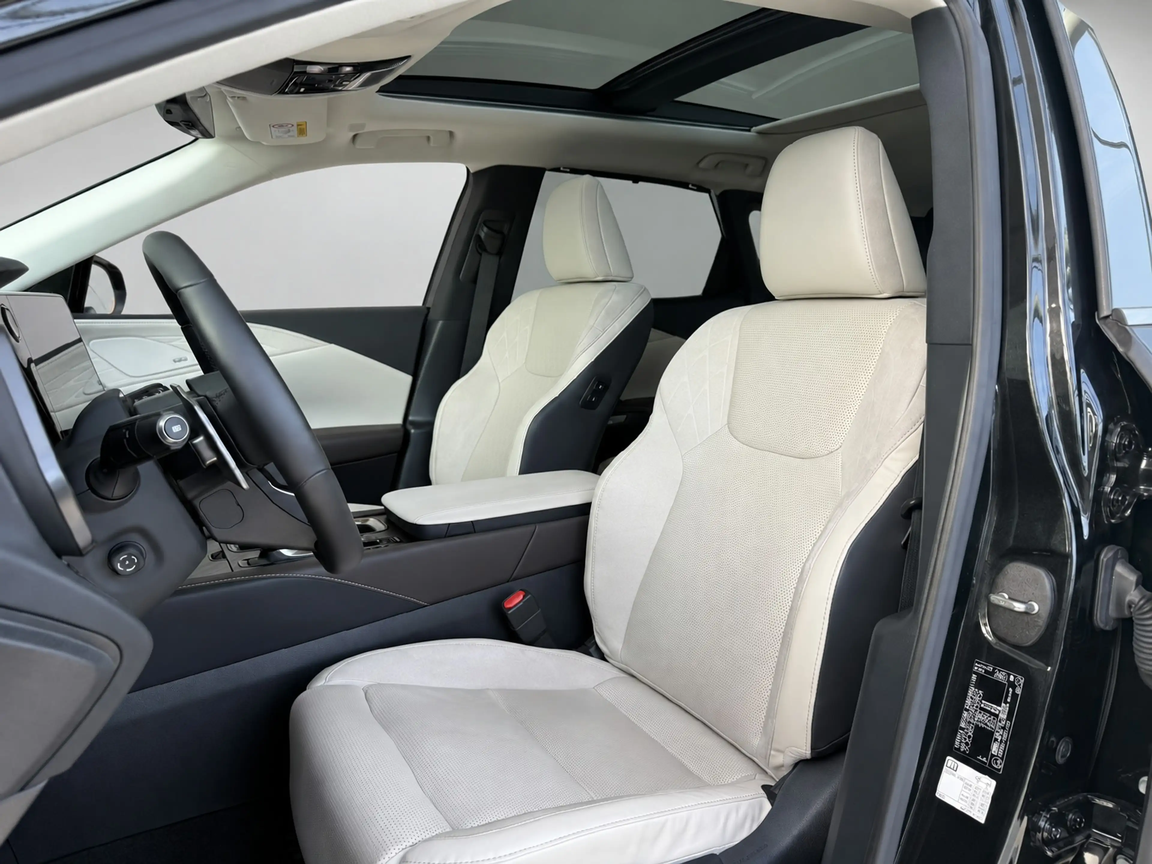 Lexus RX 450h 450h+ Plug-in Hybrid President Line | Mark-Levinso — photo 7