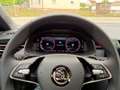 Skoda Scala 1.5 DSG Monte Carlo / Pano /  ACC / AHK Grau - thumbnail 21
