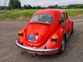 Oldtimer Volkswagen Rojo - thumbnail 2