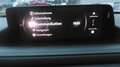 Mazda CX-30 Exclusive Bose 360° Kamera Matrix LED Heat-up Gris - thumbnail 11