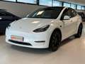 Tesla Model Y Performance AWD 77kWh Weiß - thumbnail 3