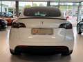 Tesla Model Y Performance AWD 77kWh Weiß - thumbnail 5