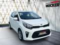 Kia Picanto Edition 7 Blanc - thumbnail 15